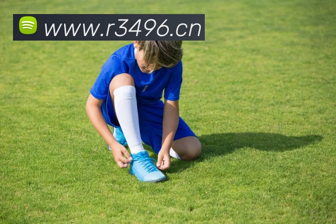 爱游戏ayx官方登录入口APP 封面图